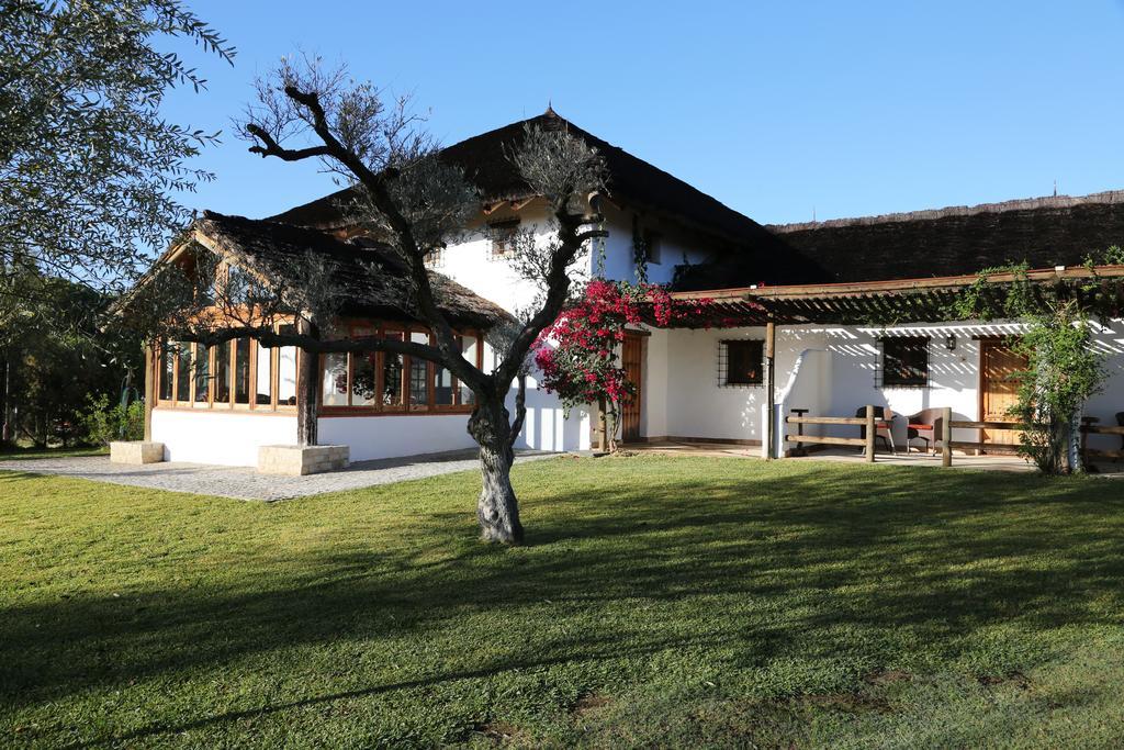 Ardea Purpurea 4*
