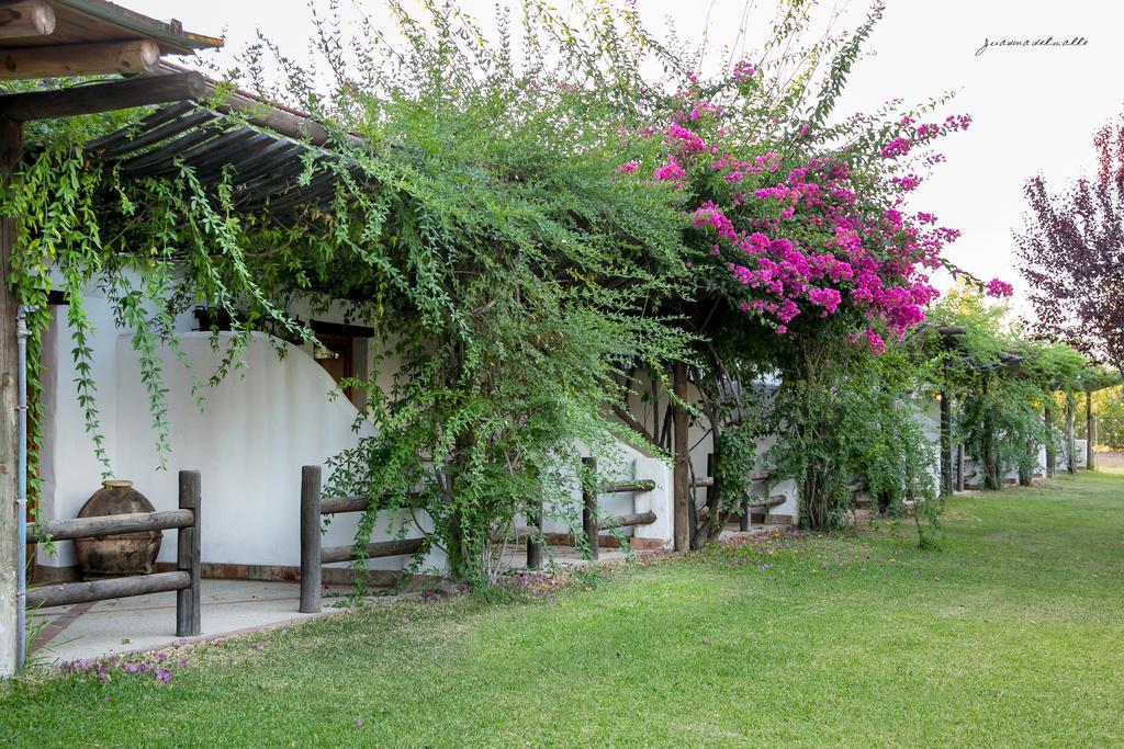 Hotel Ardea Purpurea