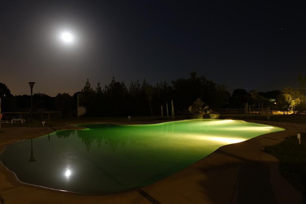 Hotel Ardea Purpurea